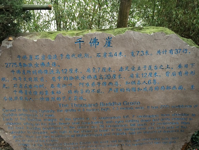619.jpg