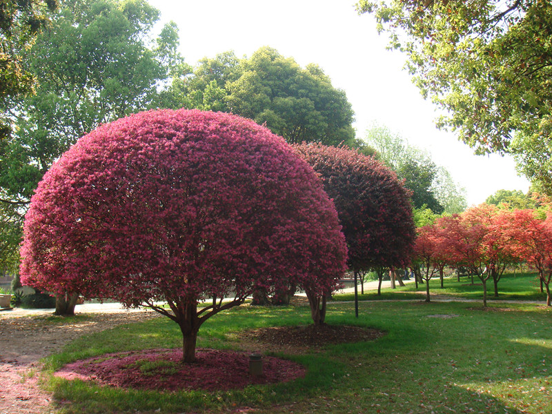 dsc03200_副本.jpg