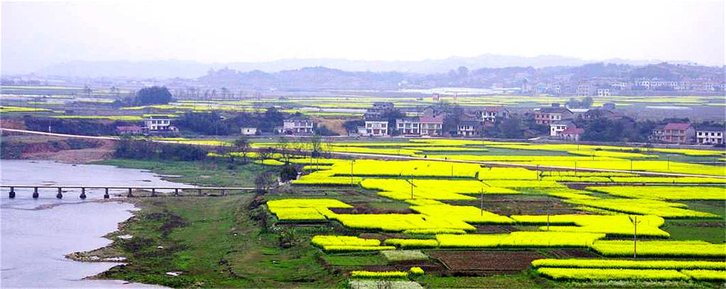_igp5710_2345看图王.jpg