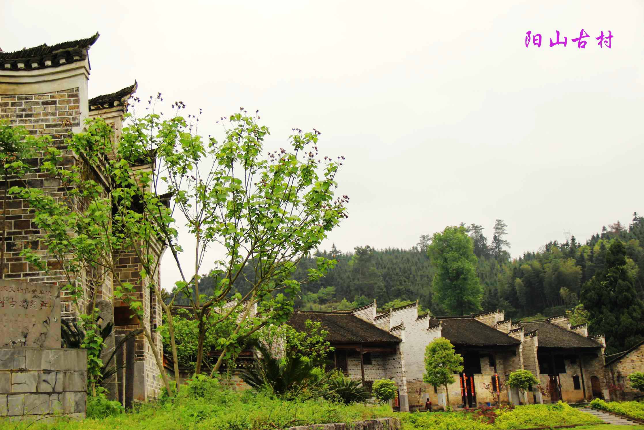 小东江之旅 121.jpg