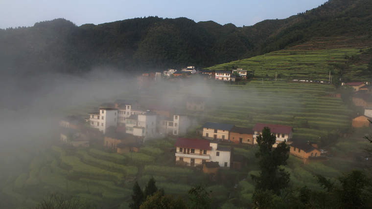img_4931_副本.jpg