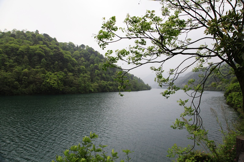 _mg_8707.jpg