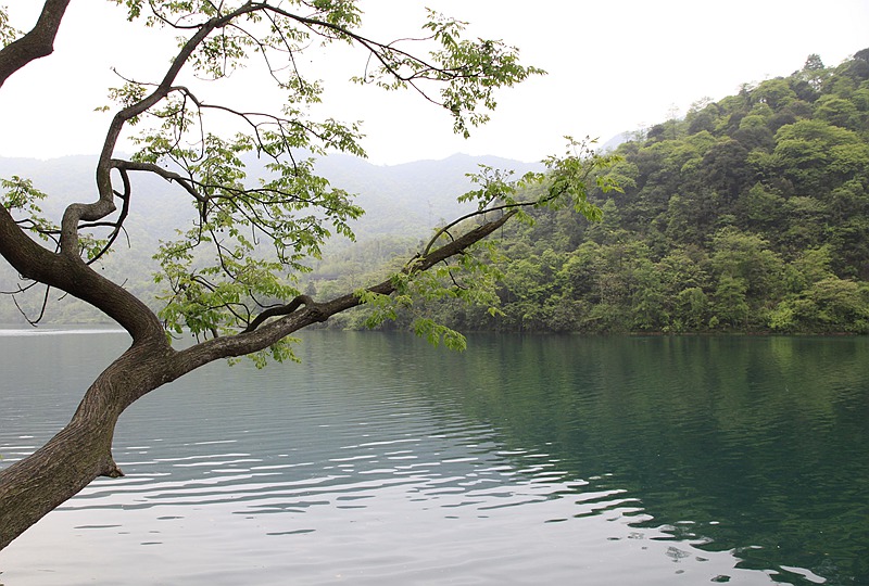 _mg_8733.jpg