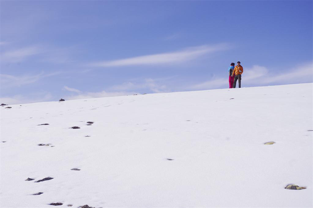 _igp6406.jpg