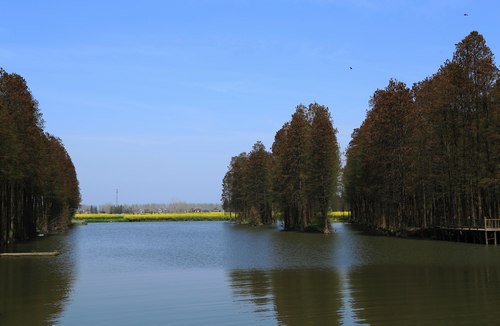 img_5591-1.jpg