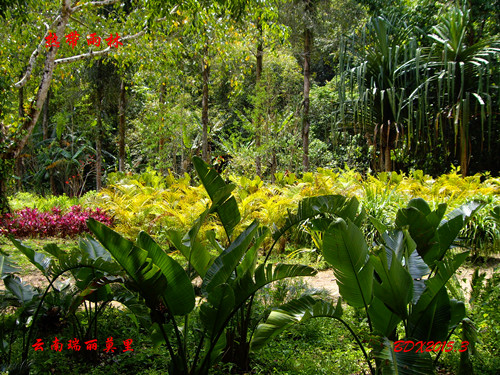 imgp1425_副本.jpg