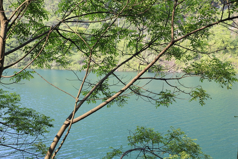 _mg_9224.jpg