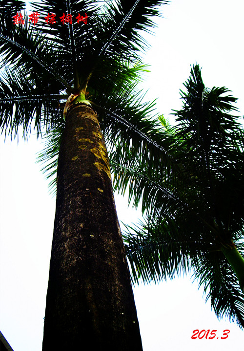 imgp1570_.jpg