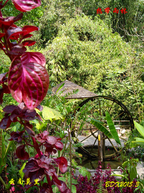 imgp1418_.jpg