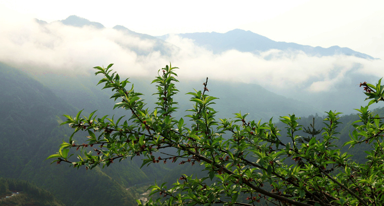 img_5012_副本.jpg