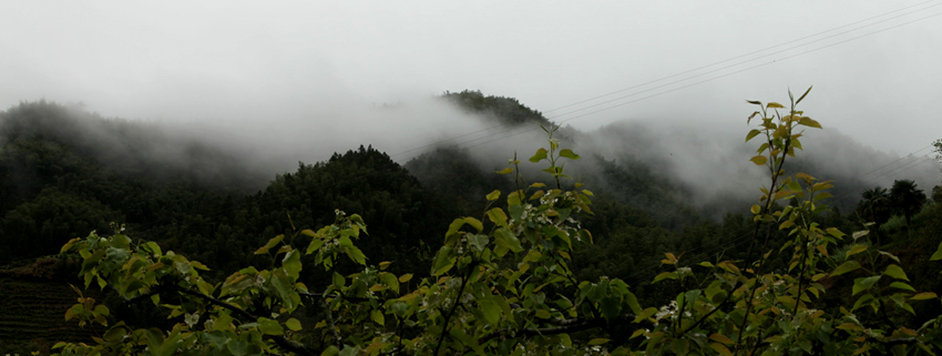 img_5237_.jpg
