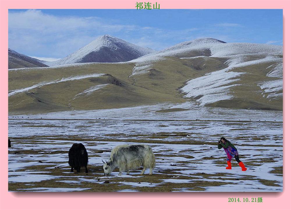 _igp6464.jpg