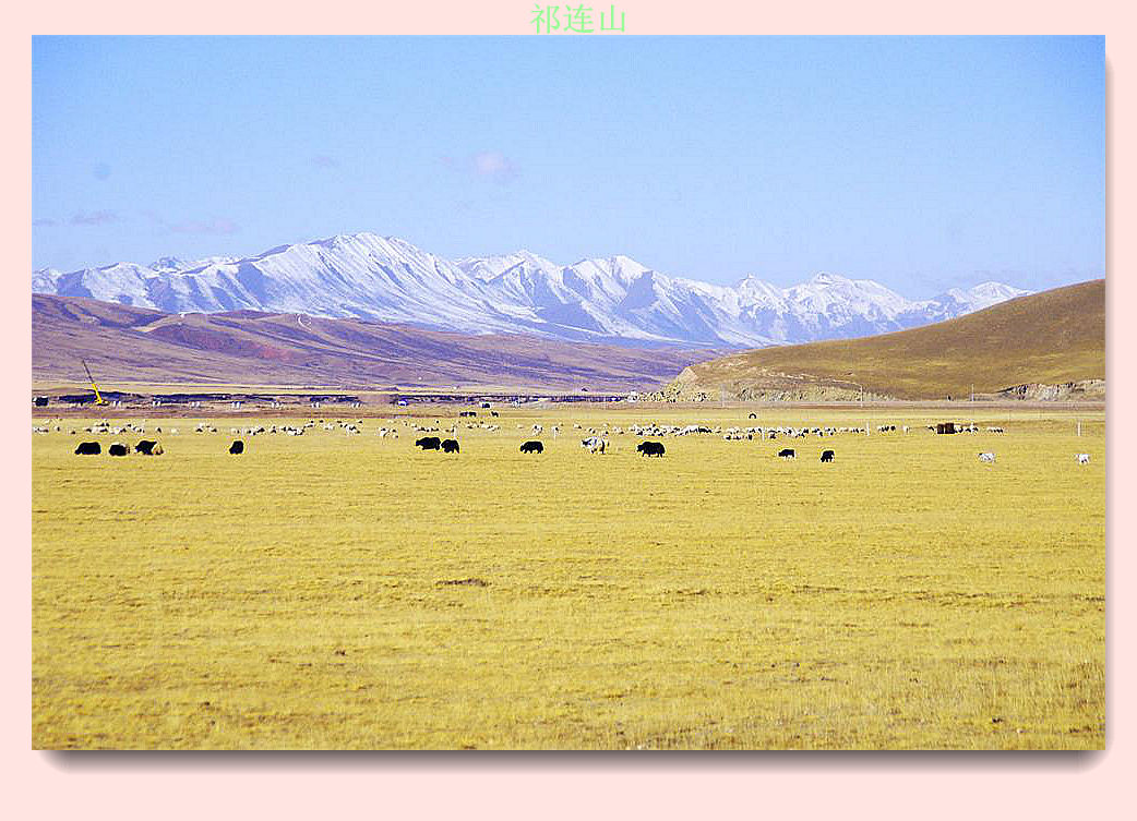 _igp6546_.jpg