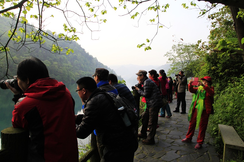 _mg_9355.jpg