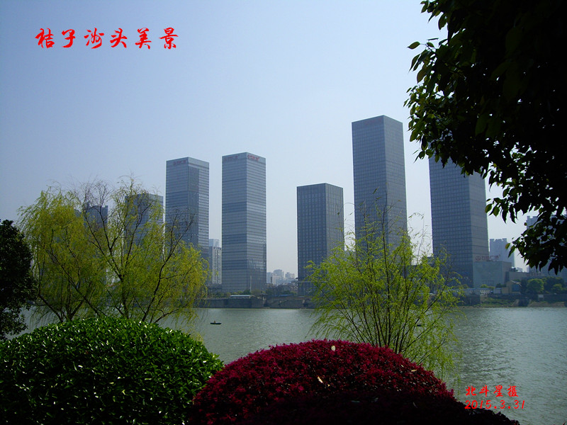 imgp1893_.jpg