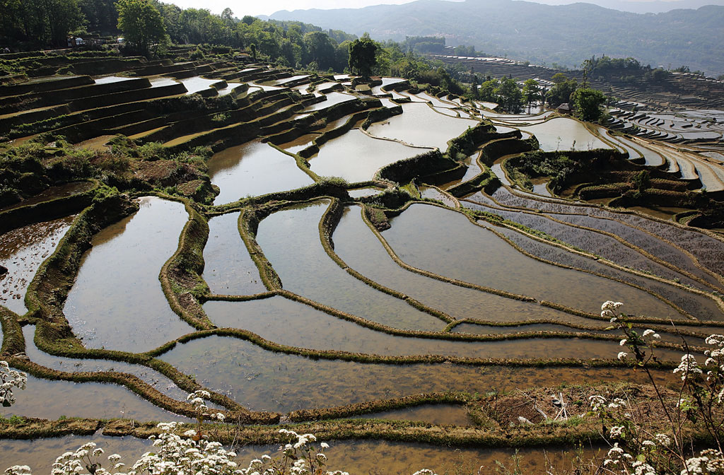 6u0b6907.jpg
