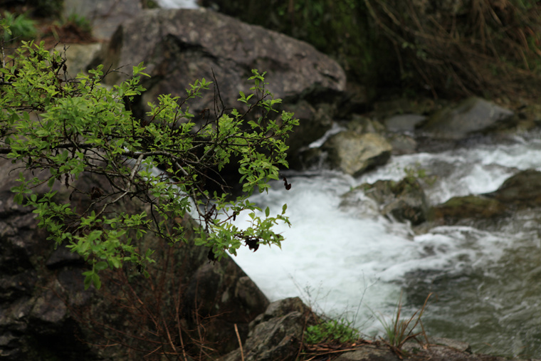 img_5150_.jpg