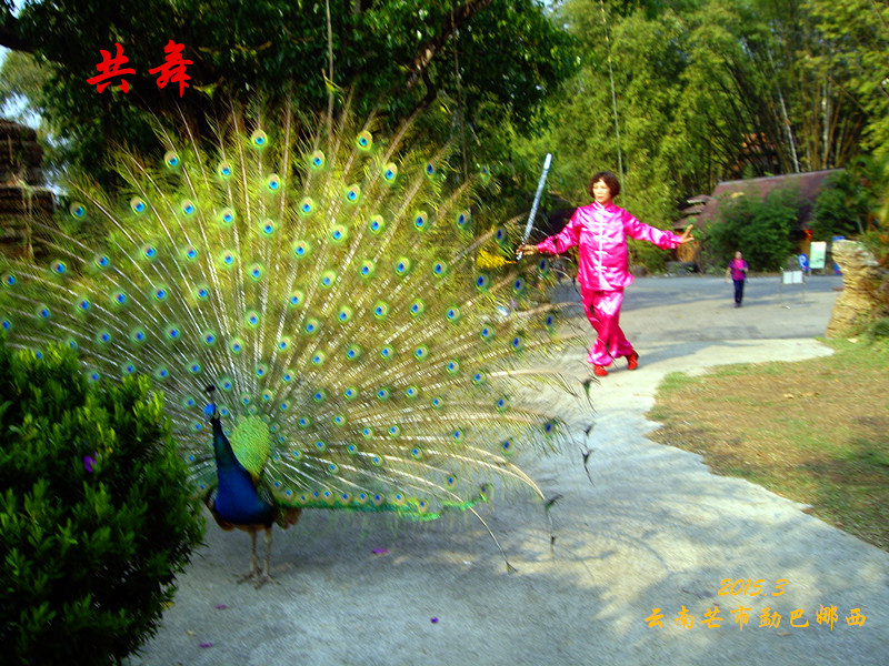 imgp1611_副本.jpg