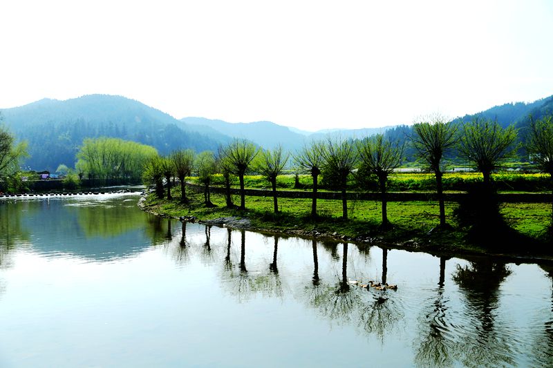 img_8571_副本.jpg