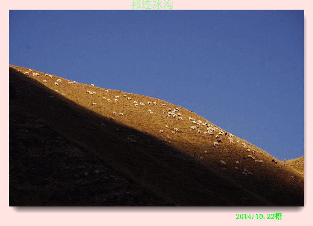 _igp6480.jpg