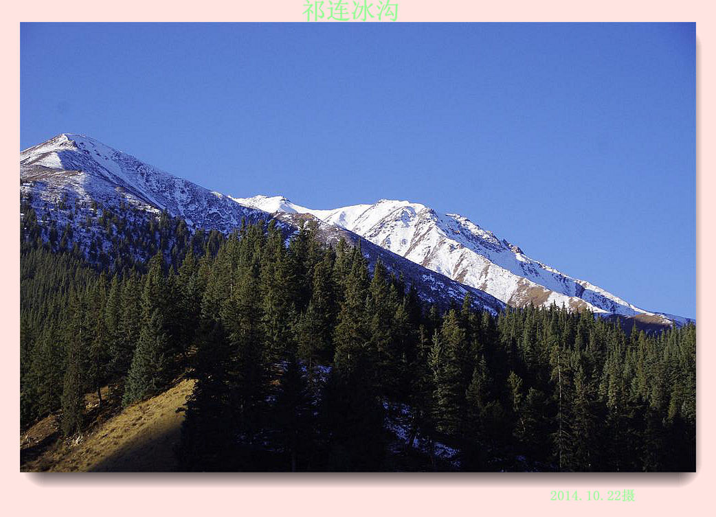 _igp6500.jpg