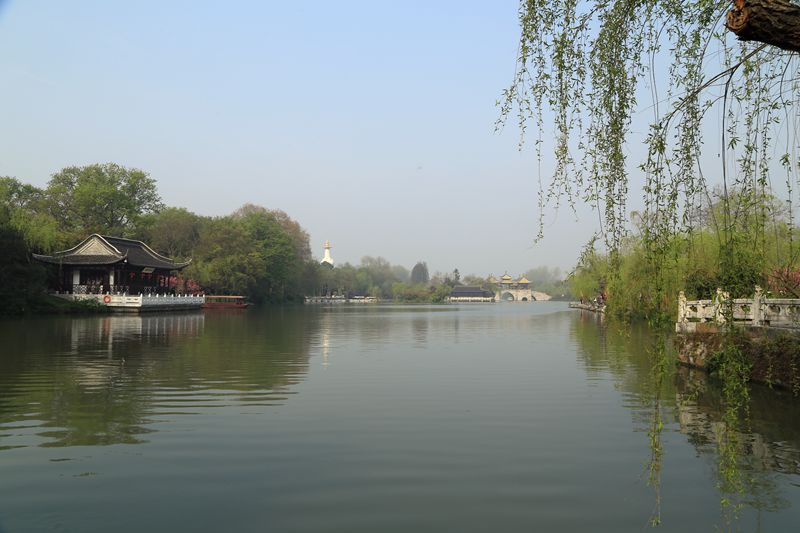 img_6359_.jpg