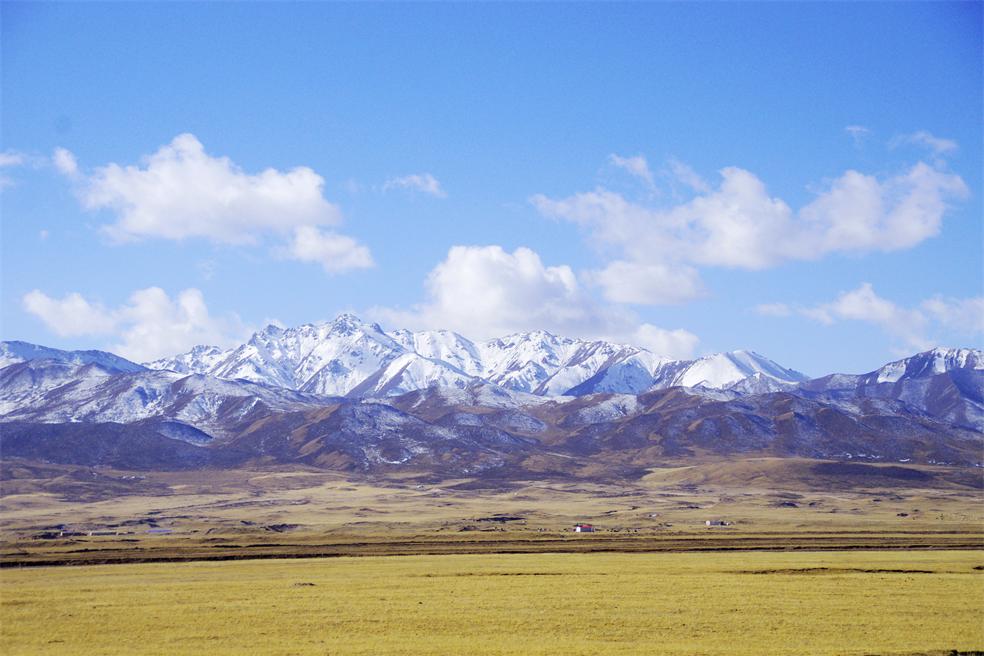 _igp6545.jpg
