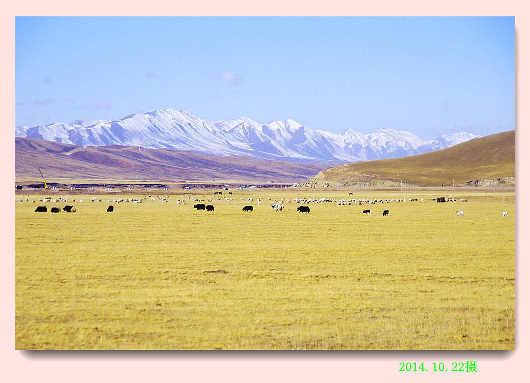 _igp6546.jpg