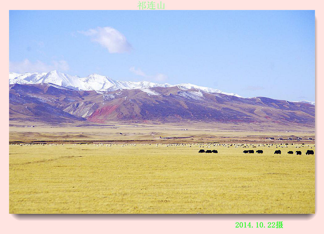 _igp6547.jpg