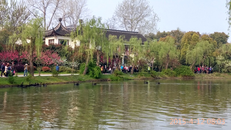 羰绨.jpg