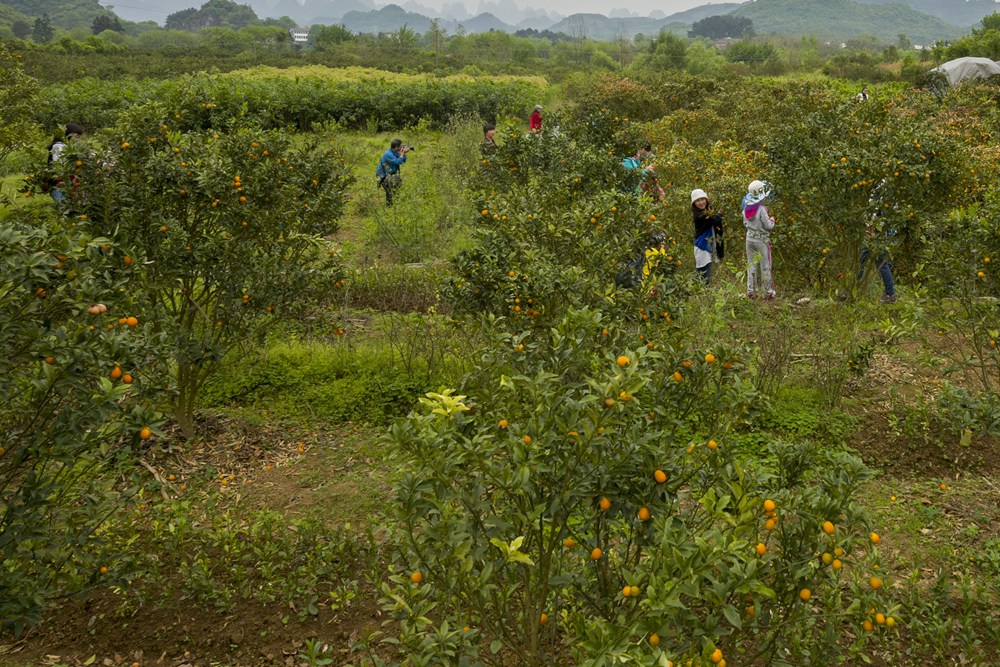 遇龙河10.jpg