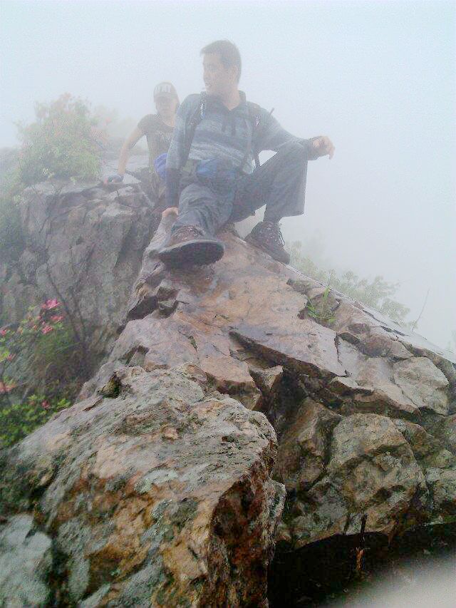 qqͼƬ20150426074624.jpg