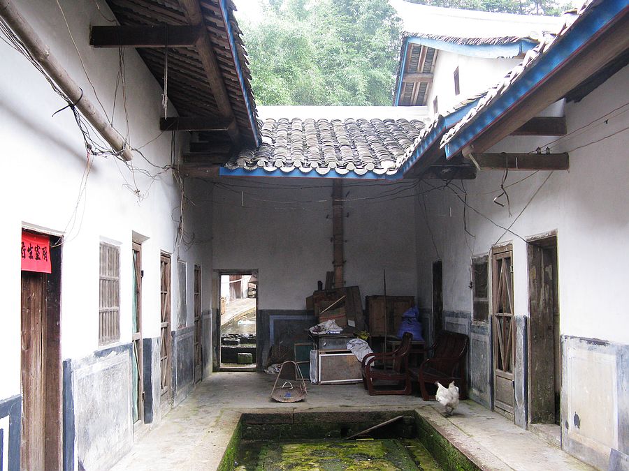 neo_img_img_7489.jpg