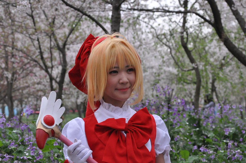樱花 清明春未赏519.jpg