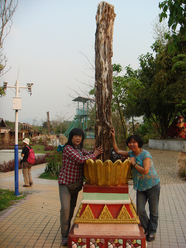 dsc02603_.jpg