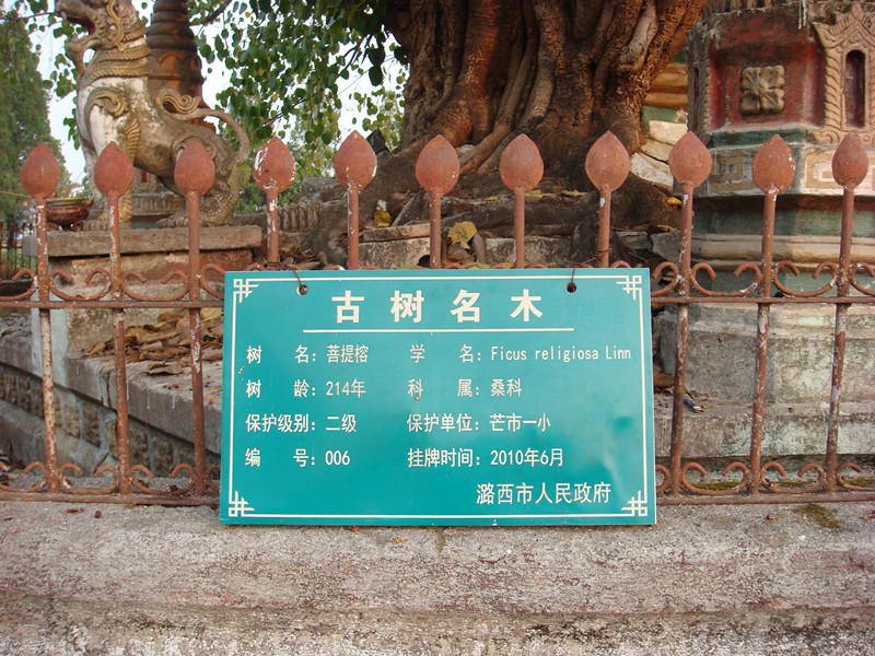 dsc02766_副本.jpg