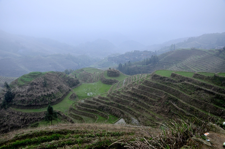 _dsc0974.jpg