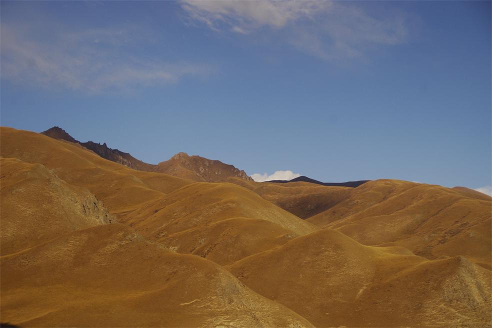 _igp5103.jpg