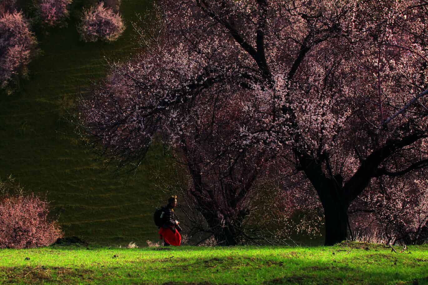 qqͼƬ20150504023034.jpg