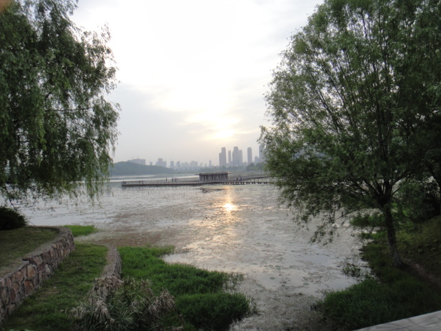 dsc06126.jpg
