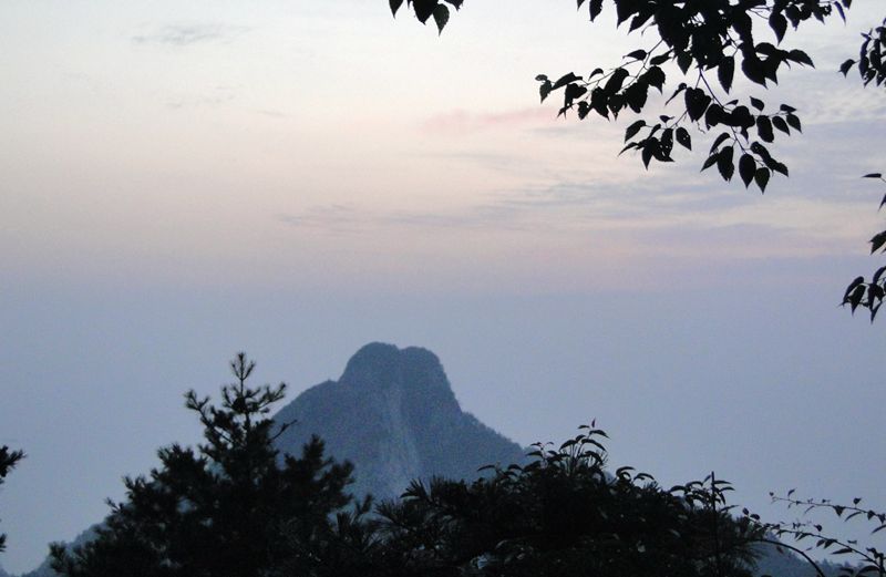 dsc00141_.jpg