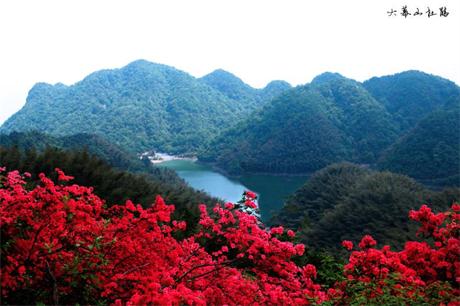 dpp_0062副本(1)1.jpg