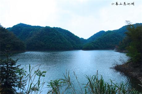 dpp_007011.jpg