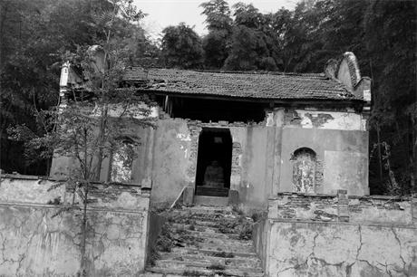 dpp_00821.jpg