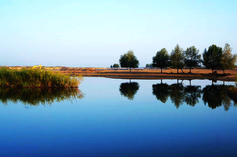 05.jpg