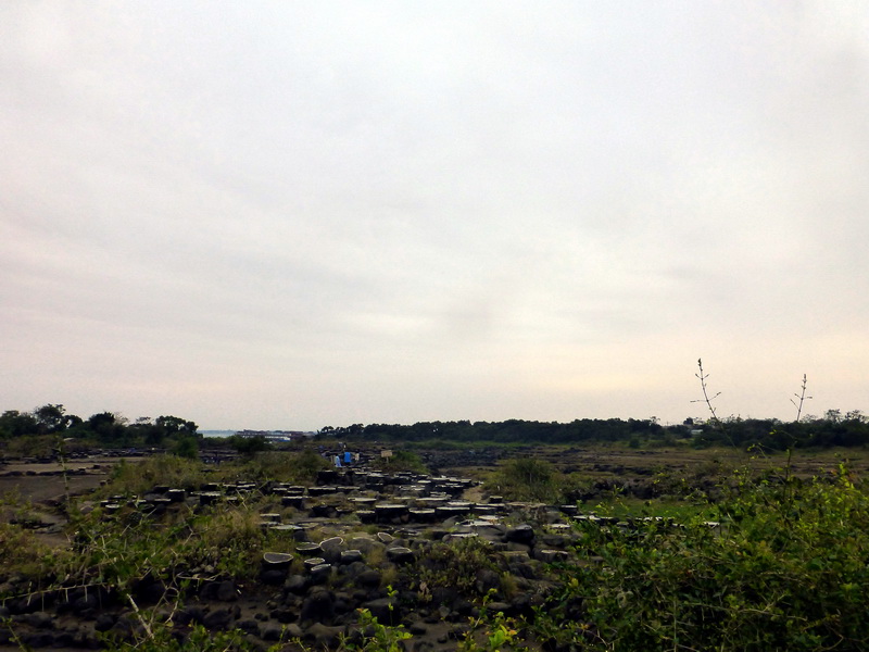 p1300849.jpg