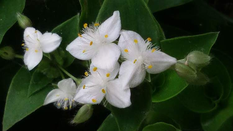 ׻¶ݣڵ2.jpg