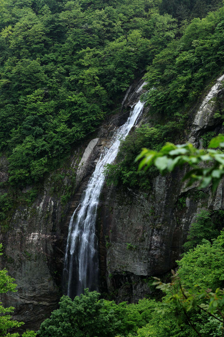 img_6174_副本.jpg