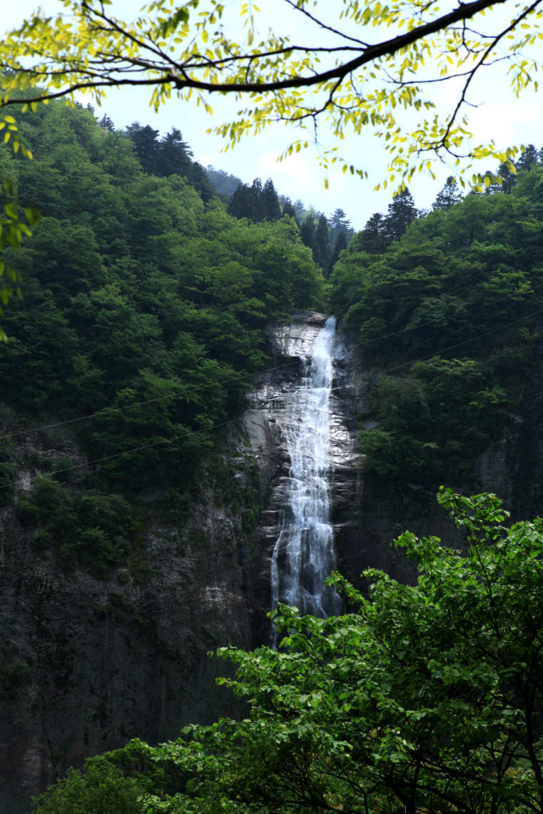 img_6183_副本.jpg