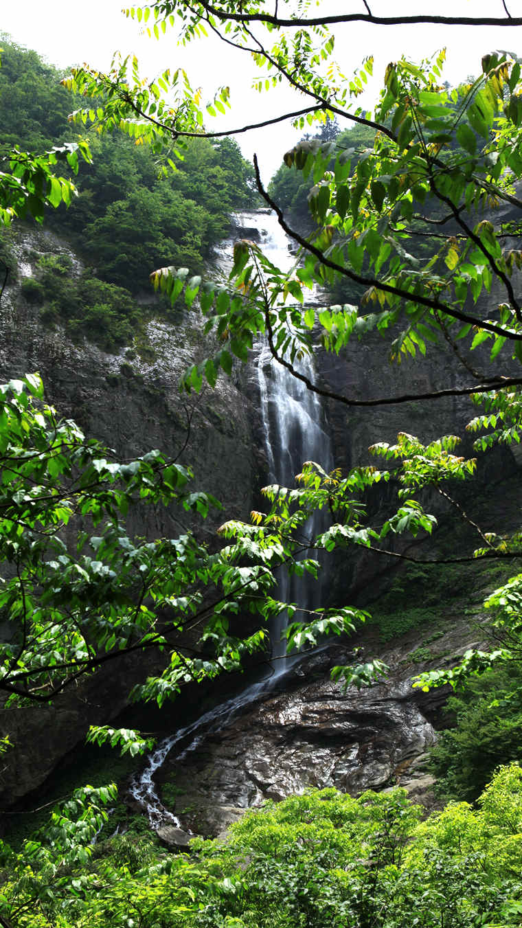 img_6185_副本.jpg
